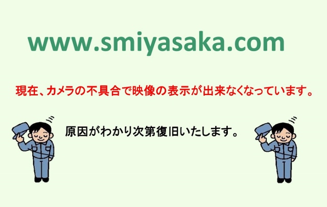 最新のアメダス情報・撮影時の年月日時刻\x95\x5C示中